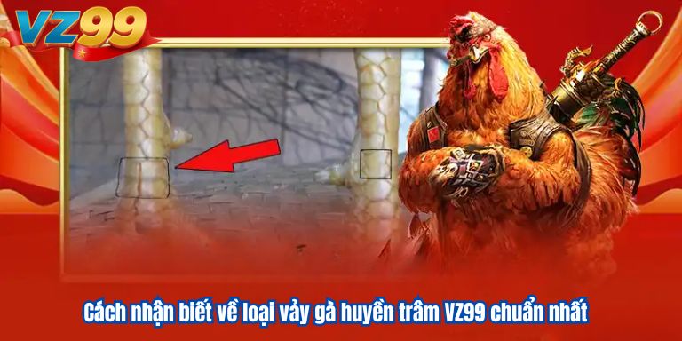 Cách nhận biết về loại vảy gà huyền trâm VZ99 chuẩn nhất