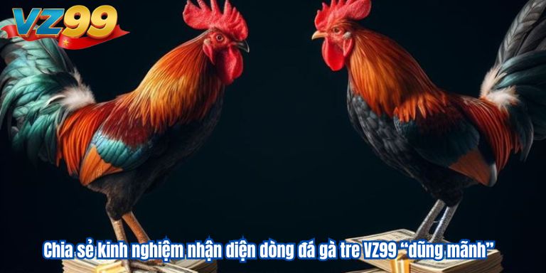 Chia sẻ kinh nghiệm nhận diện dòng đá gà tre VZ99 “dũng mãnh”