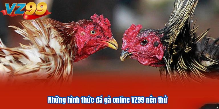 Đá Gà Online VZ99 – Sân Chơi Giải Trí Đẳng Cấp Uy Tín 4 Những hình thức đá gà online VZ99 nên thử