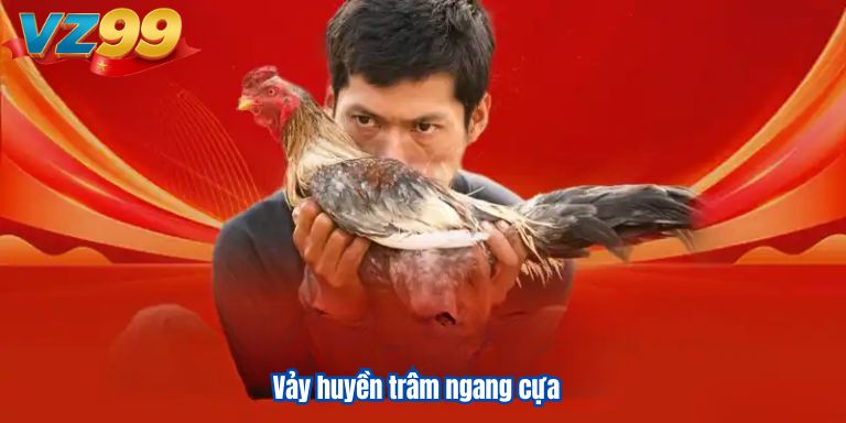 Vảy huyền trâm ngang cựa