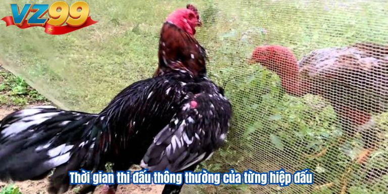 Thời gian thi đấu thông thường của từng hiệp đấu